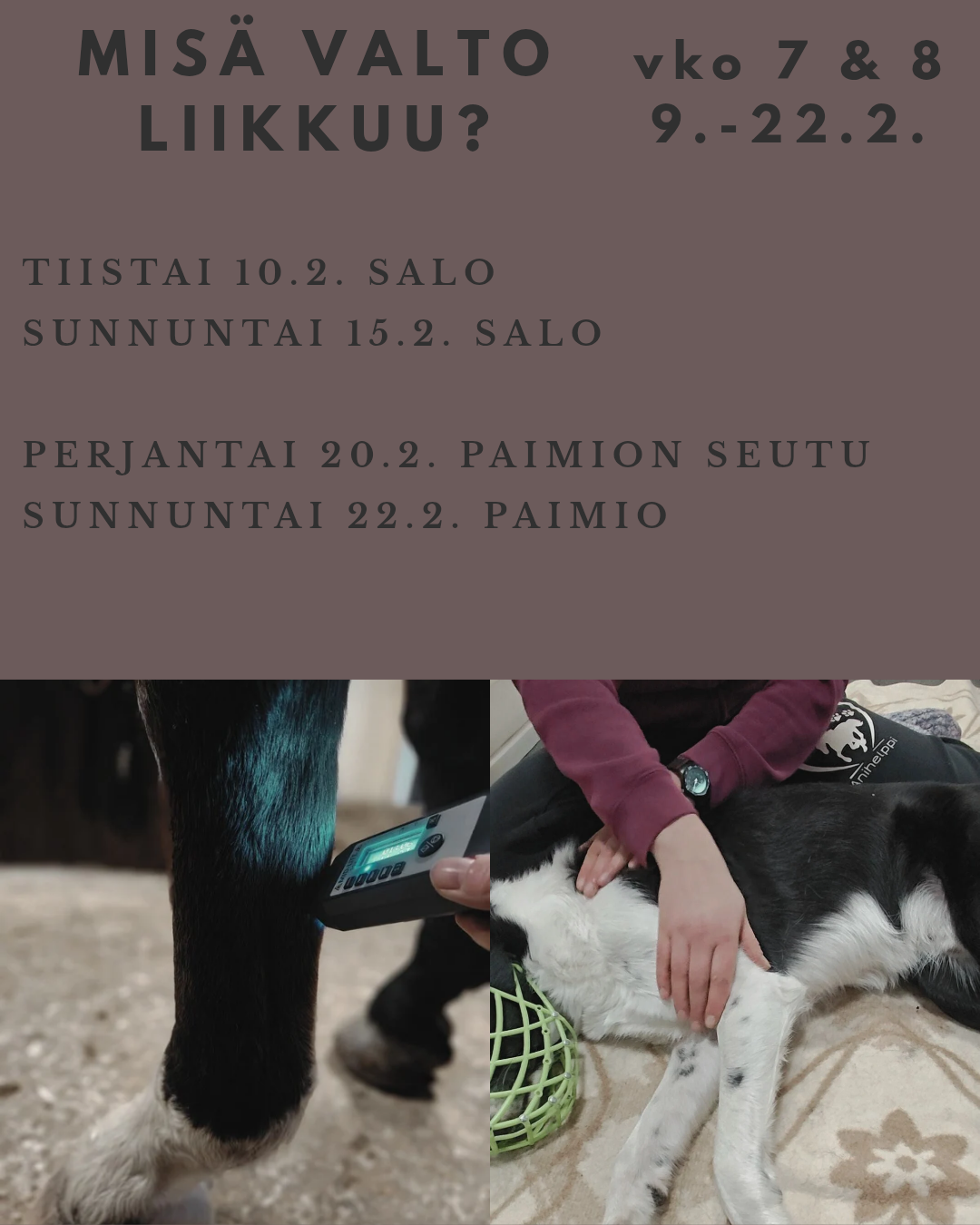 Vapaisiin aikoihin pääsette klikkaamalla kuvaa