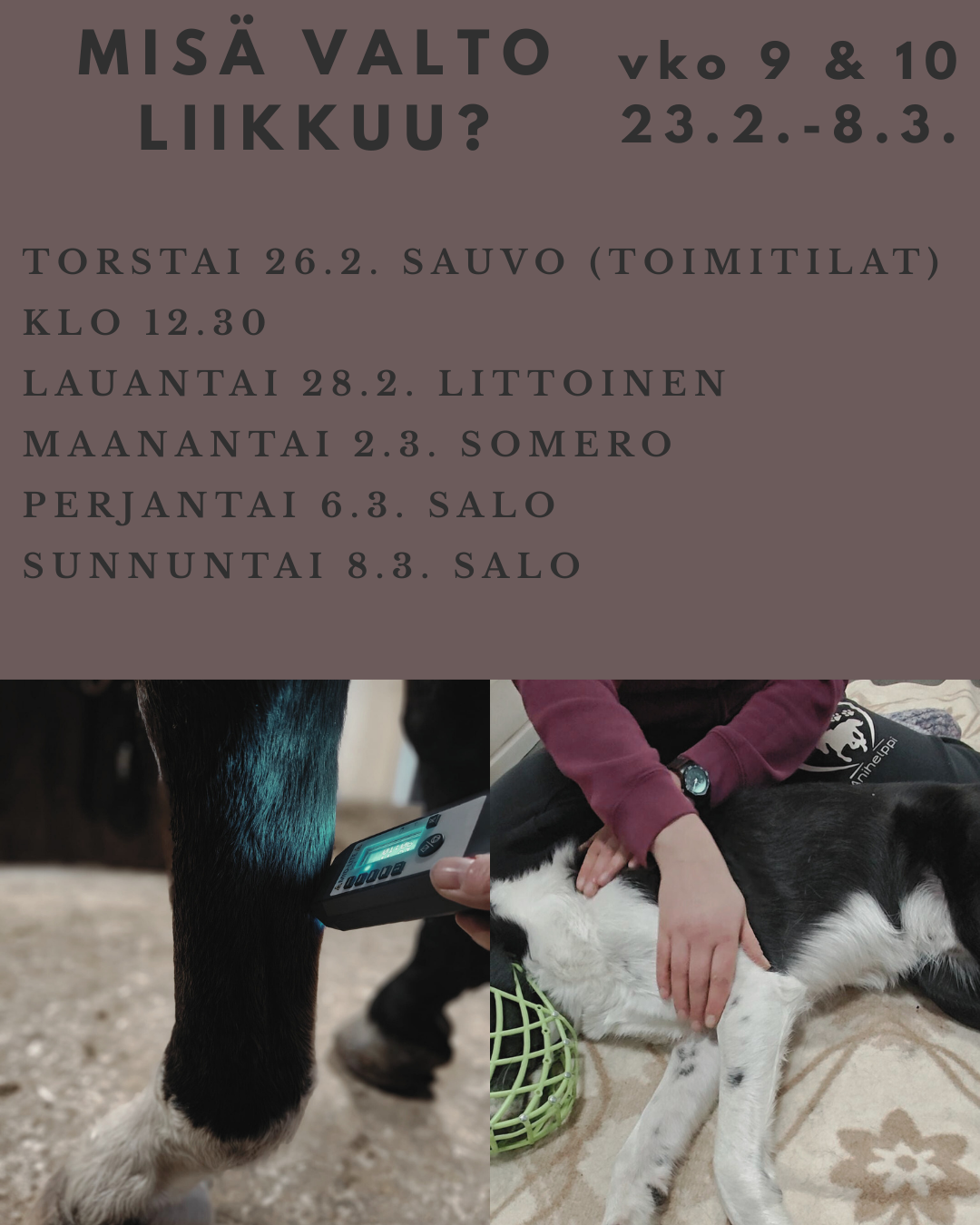 Vapaisiin aikoihin pääsette klikkaamalla kuvaa