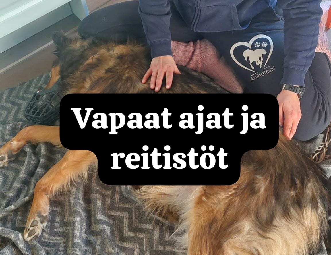 Vapaisiin aikoihin pääsette klikkaamalla kuvaa