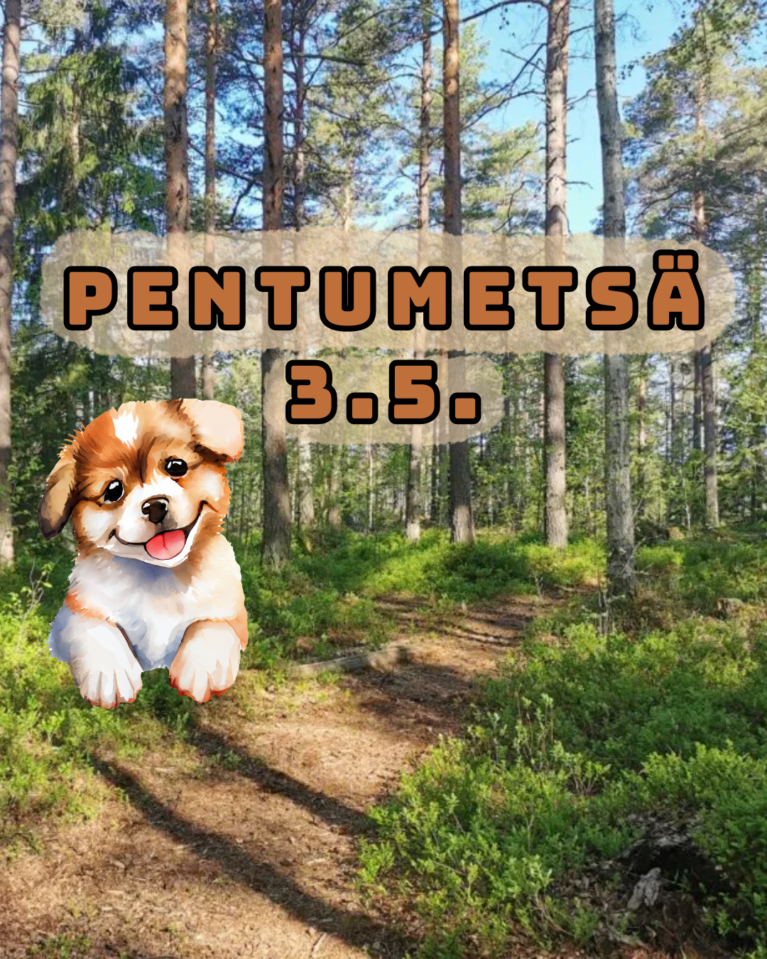 Klikkaamalla kuvaa lisätietoihin